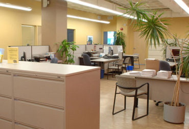 International Language Schools